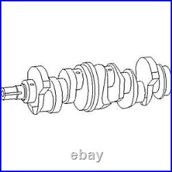 Crankshaft Fits John Deere 4039D 4039T 4.239D 4.239T Long Nose 60MM RE20585