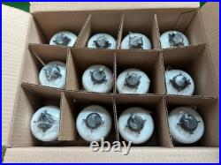 Donaldson P576918 Fuel Filter 12 Pack fits John Deere RE60021, RE503747 New